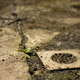 Illustration for article titled Shooting Challenge: Urban Decay 4